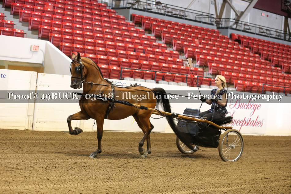 Proof 19BUCK_03238