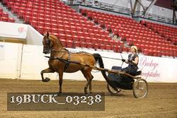 19BUCK_03238 proof
