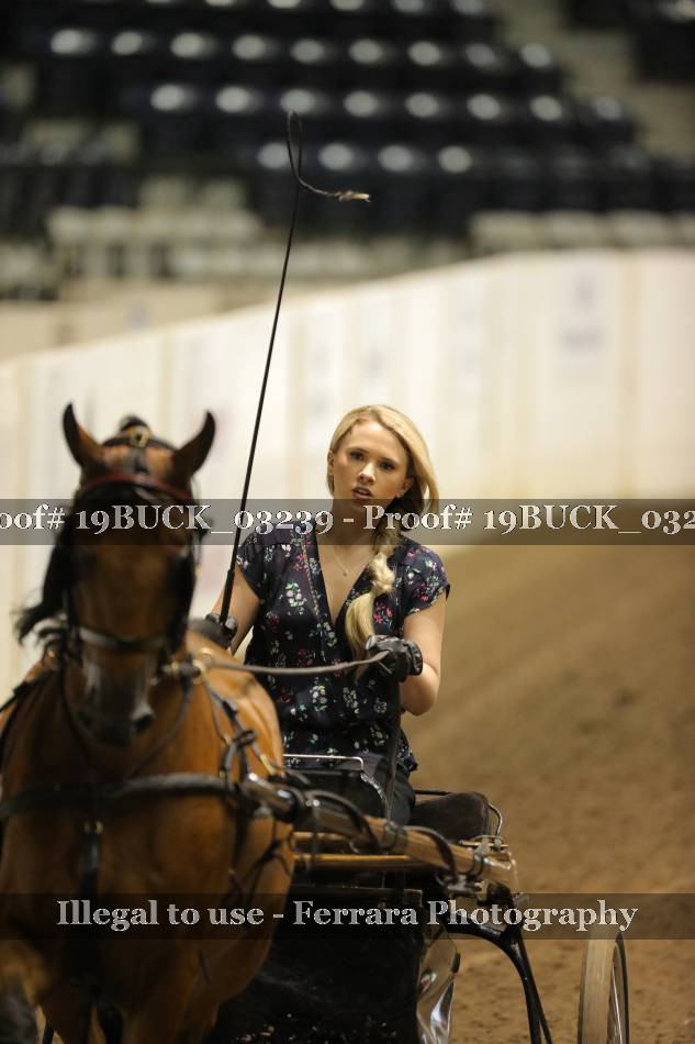 Proof 19BUCK_03239