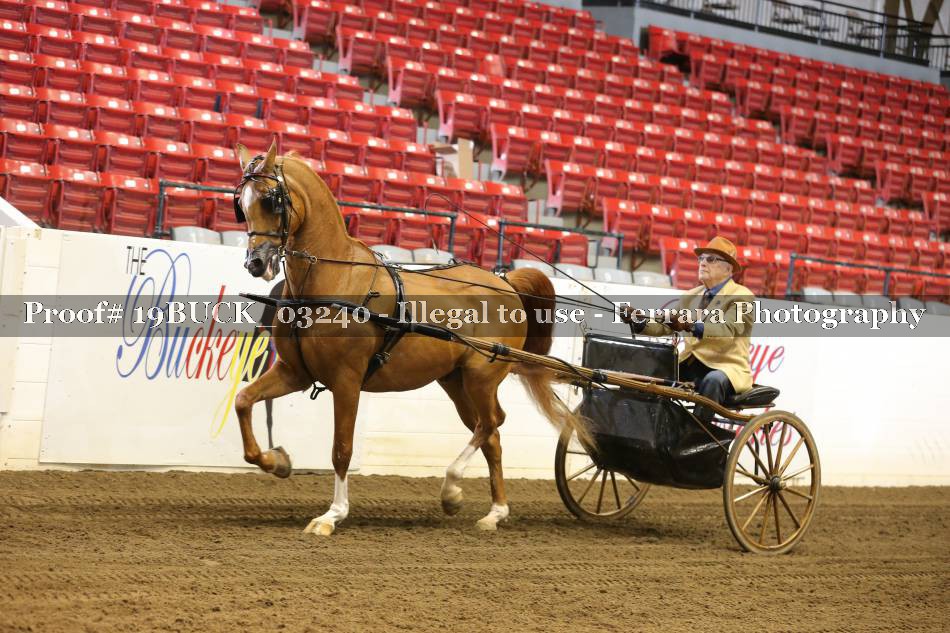 Proof 19BUCK_03240