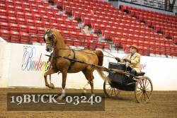 19BUCK_03240 proof