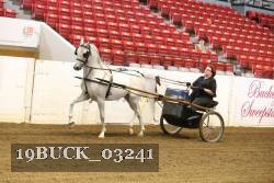 19BUCK_03241 proof