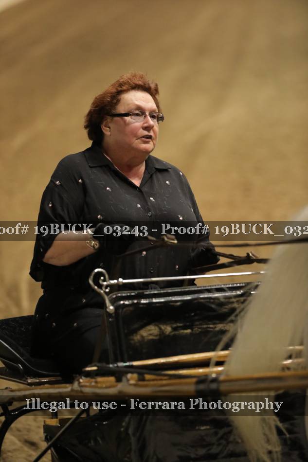 Proof 19BUCK_03243