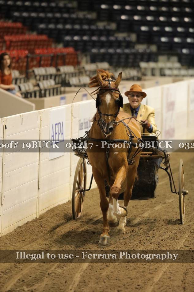 Proof 19BUCK_03247