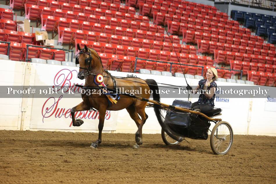 Proof 19BUCK_03248