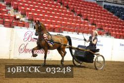19BUCK_03248 proof