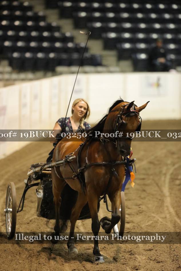 Proof 19BUCK_03250
