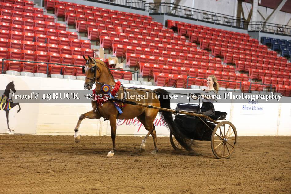 Proof 19BUCK_03251
