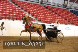19BUCK_03251 proof