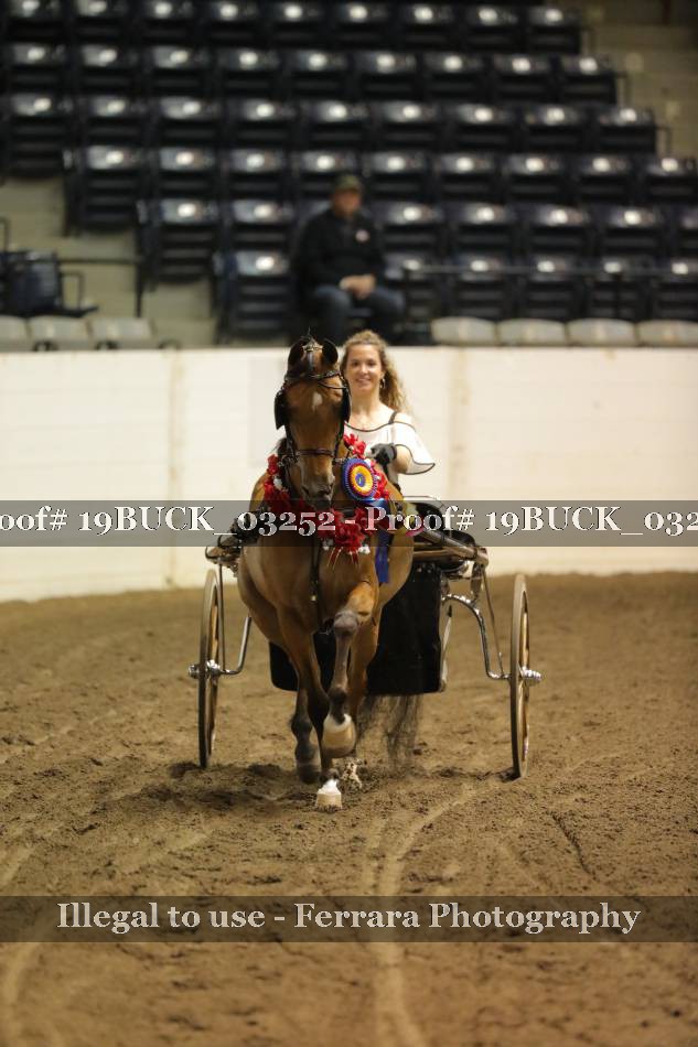 Proof 19BUCK_03252