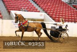 19BUCK_03253 proof