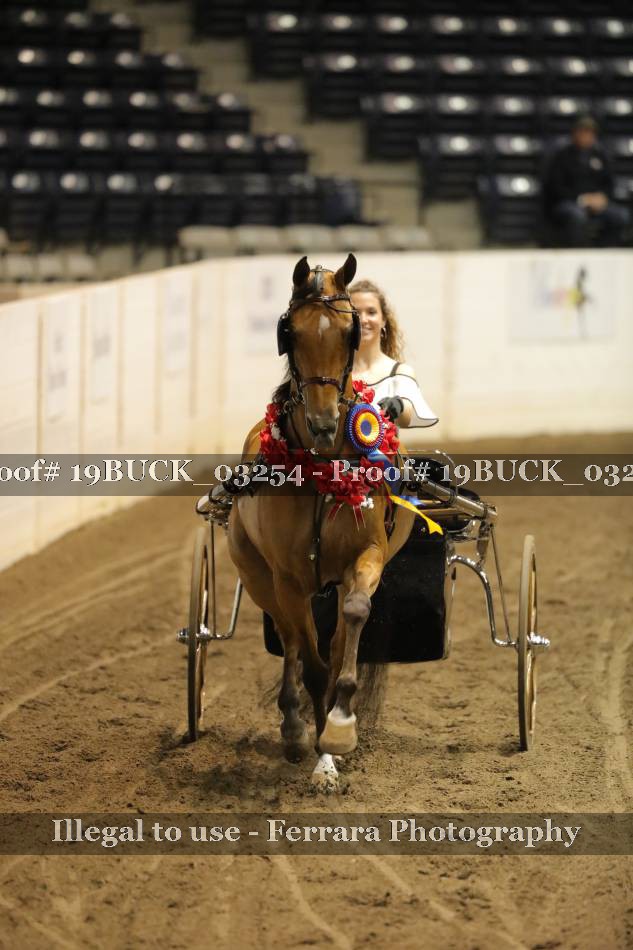Proof 19BUCK_03254