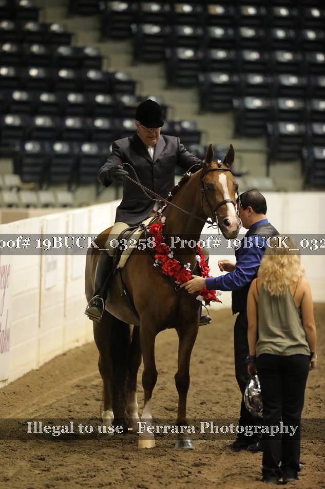 Proof 19BUCK_03258