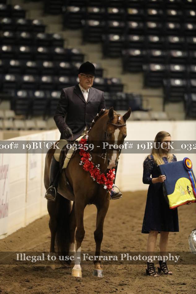 Proof 19BUCK_03259