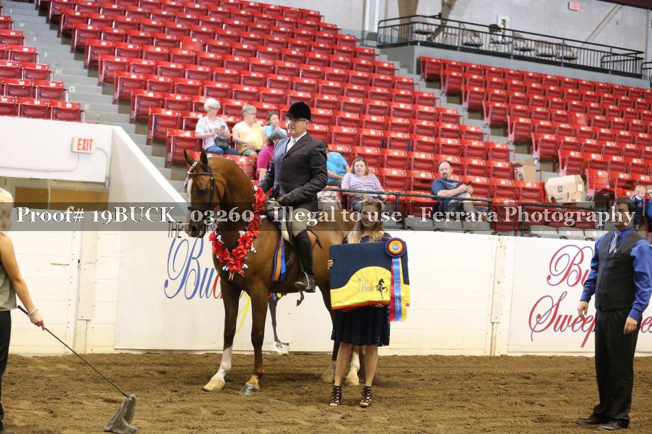 Proof 19BUCK_03260