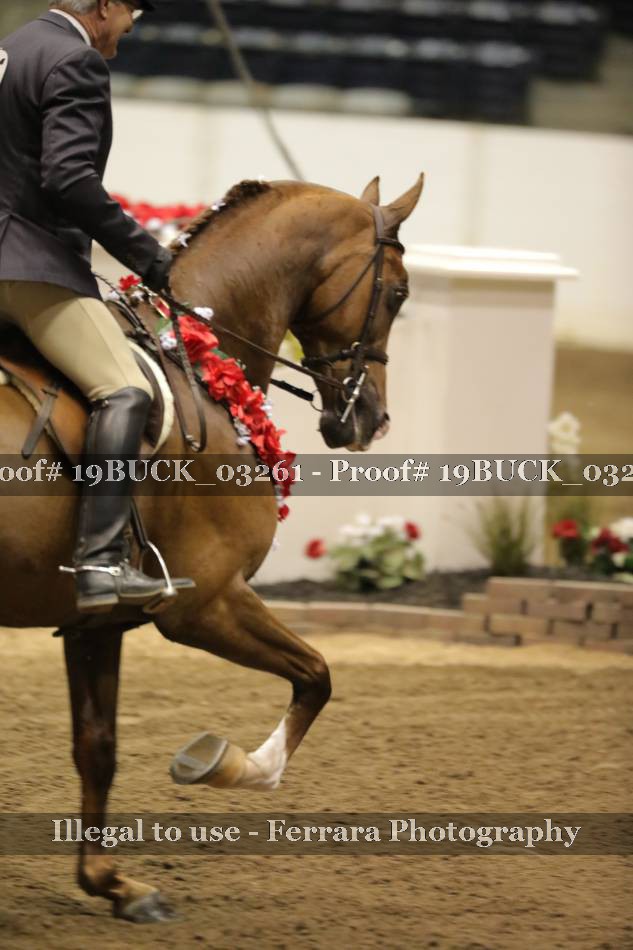 Proof 19BUCK_03261