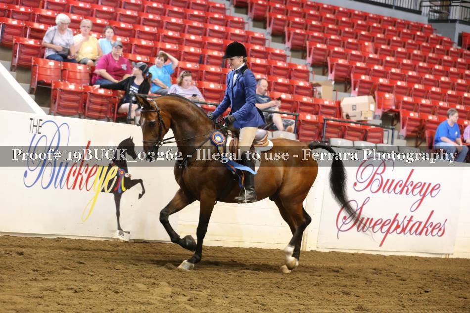 Proof 19BUCK_03262