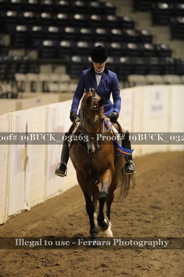 Proof 19BUCK_03263