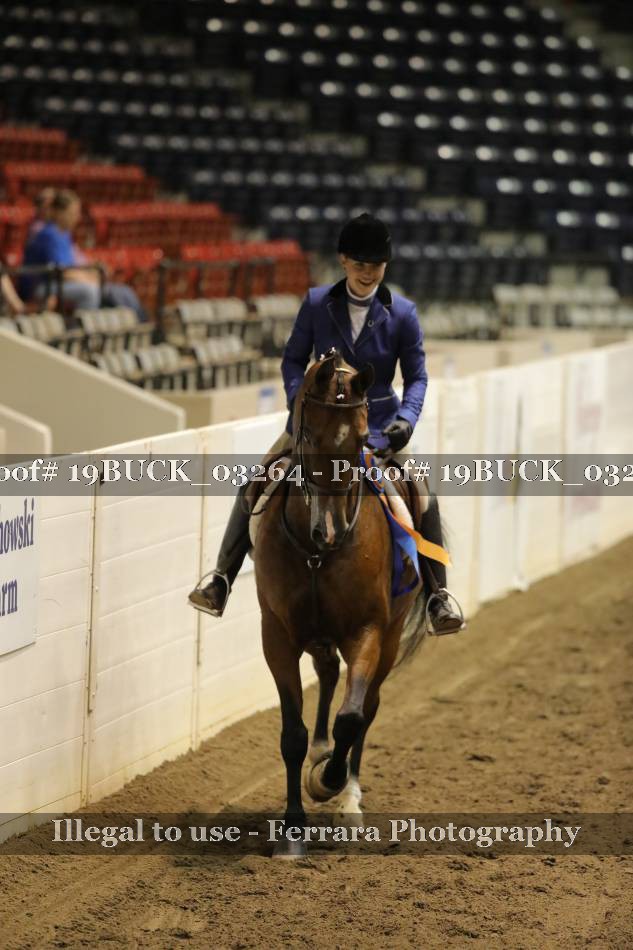 Proof 19BUCK_03264
