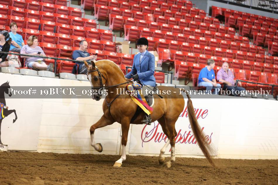 Proof 19BUCK_03265