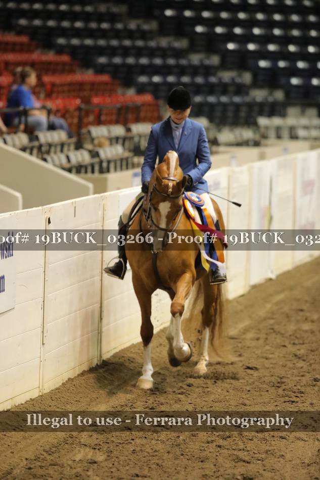 Proof 19BUCK_03266