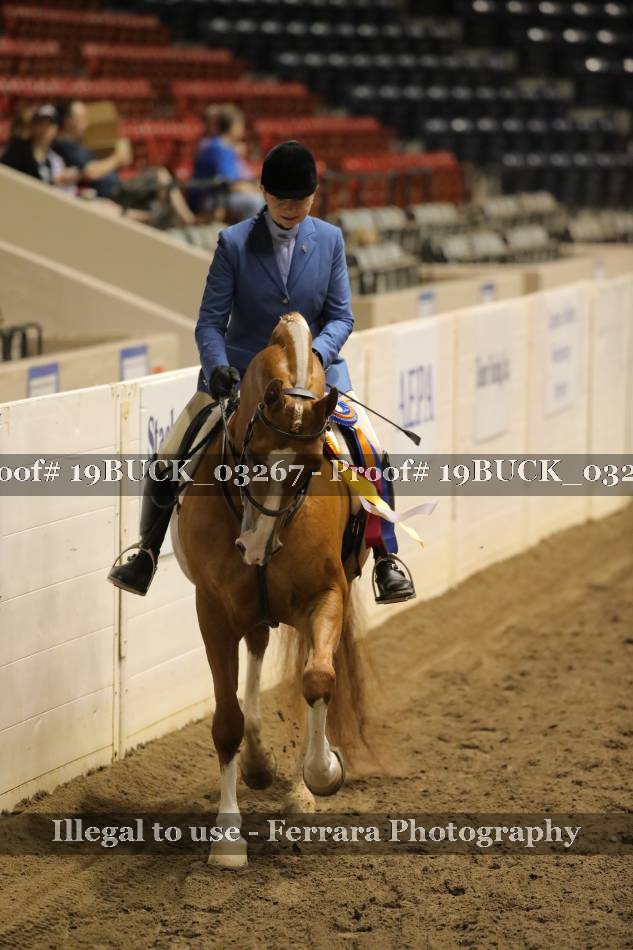 Proof 19BUCK_03267