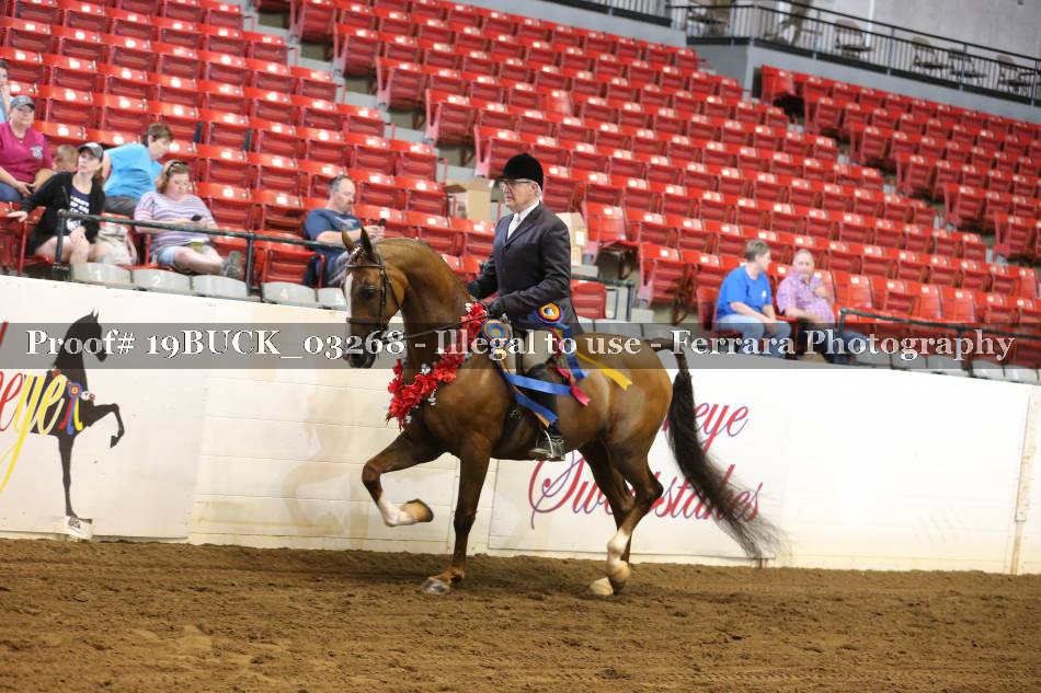 Proof 19BUCK_03268