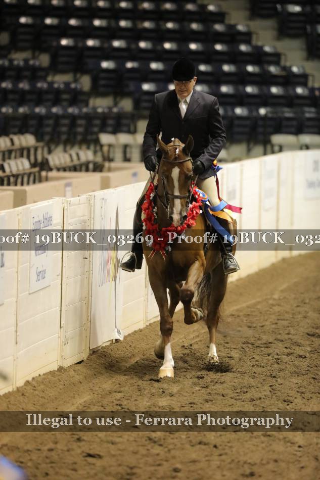 Proof 19BUCK_03269