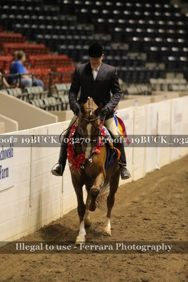 Proof 19BUCK_03270