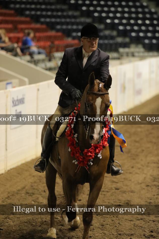 Proof 19BUCK_03271