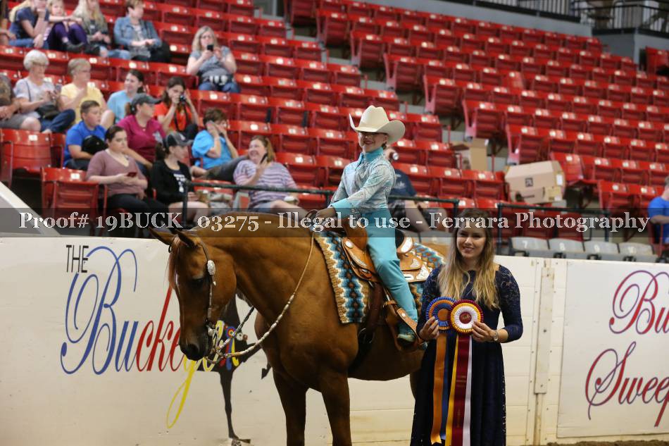 Proof 19BUCK_03275