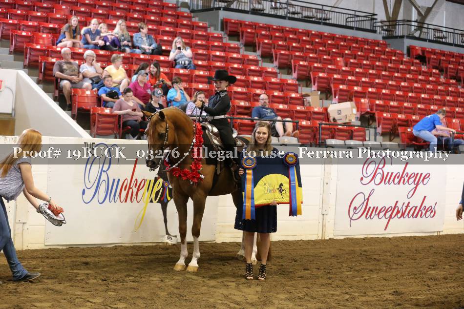 Proof 19BUCK_03276