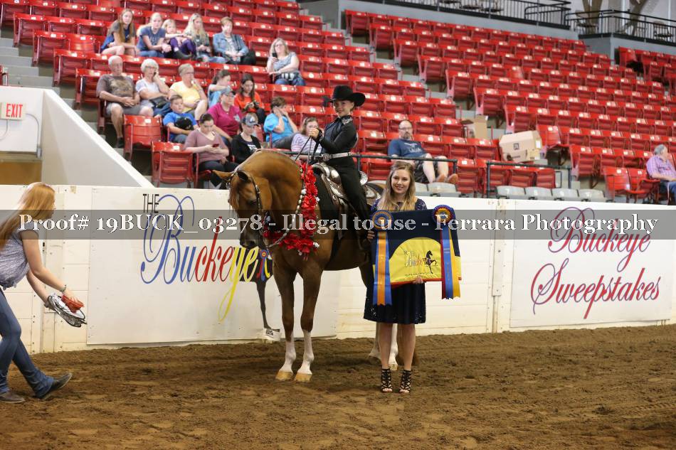 Proof 19BUCK_03278