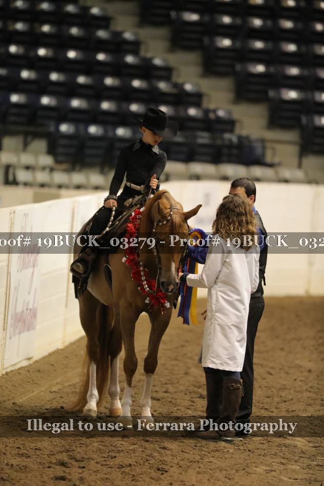 Proof 19BUCK_03279