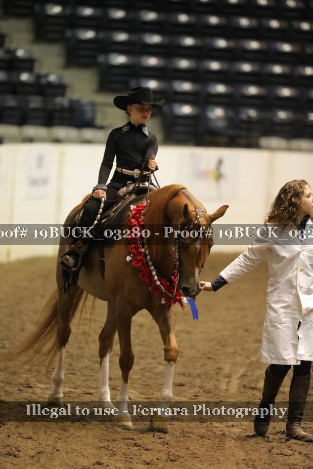 Proof 19BUCK_03280