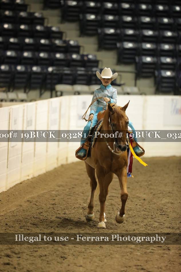 Proof 19BUCK_03281