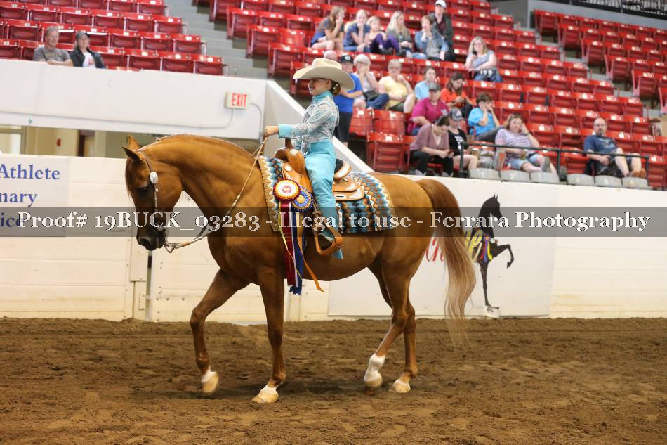 Proof 19BUCK_03283