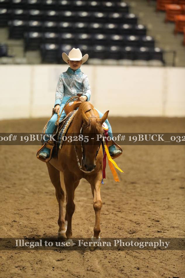 Proof 19BUCK_03285
