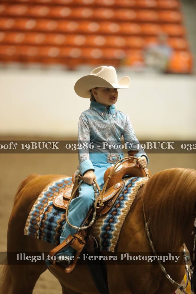 Proof 19BUCK_03286