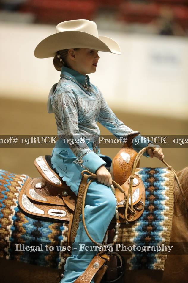 Proof 19BUCK_03287