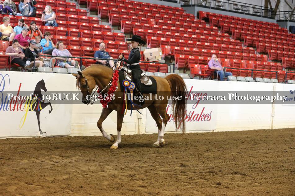 Proof 19BUCK_03288