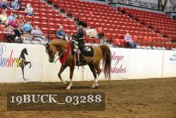 19BUCK_03288 proof