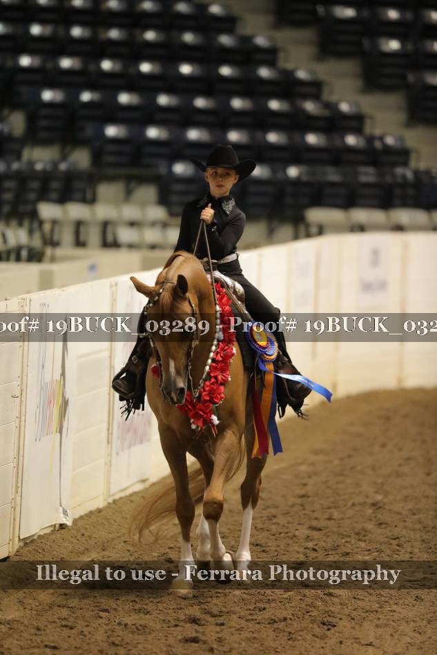 Proof 19BUCK_03289