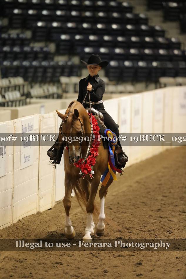 Proof 19BUCK_03290
