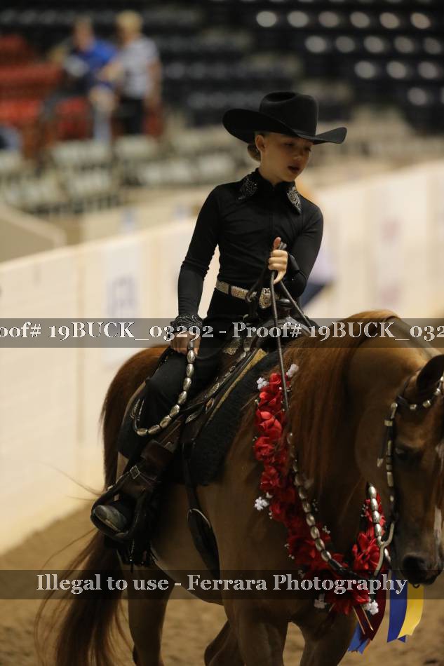 Proof 19BUCK_03292