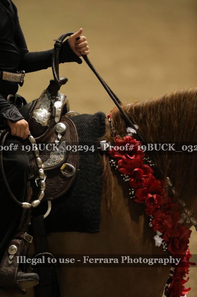 Proof 19BUCK_03294