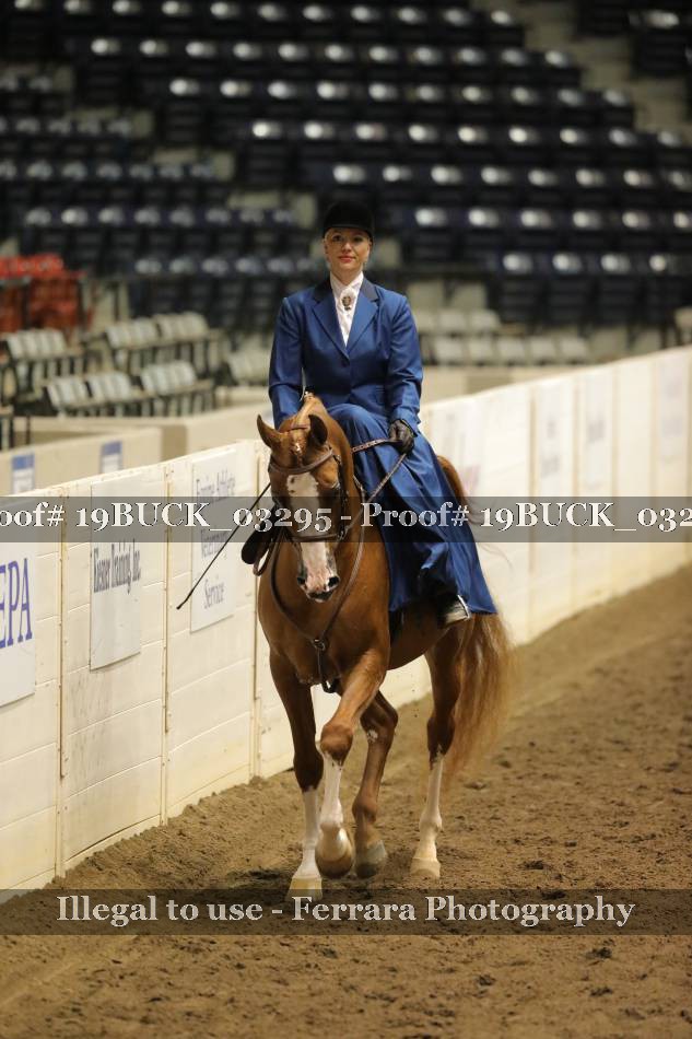 Proof 19BUCK_03295