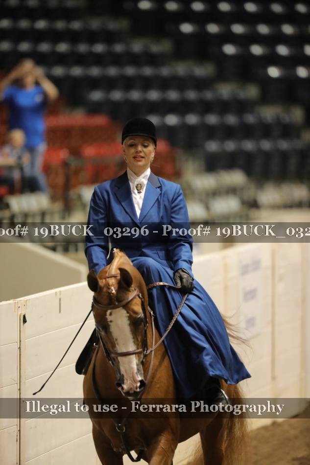 Proof 19BUCK_03296