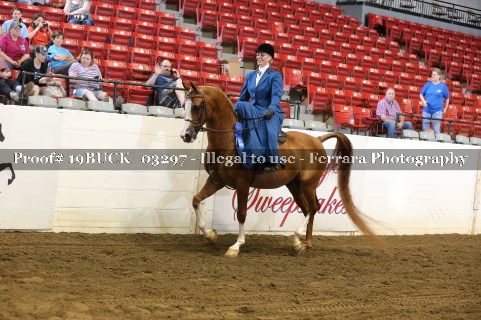 Proof 19BUCK_03297