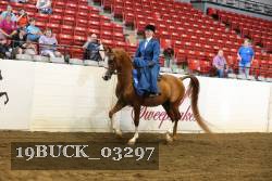 19BUCK_03297 proof